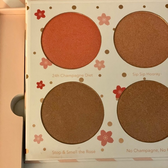 Cotton Candy Champagne Blush Palette - Picture 6 of 11